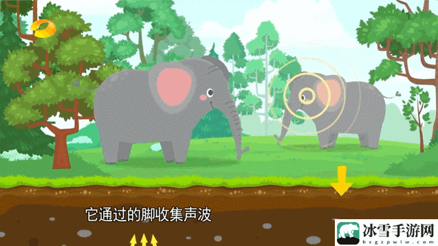 大象回家永不迷路