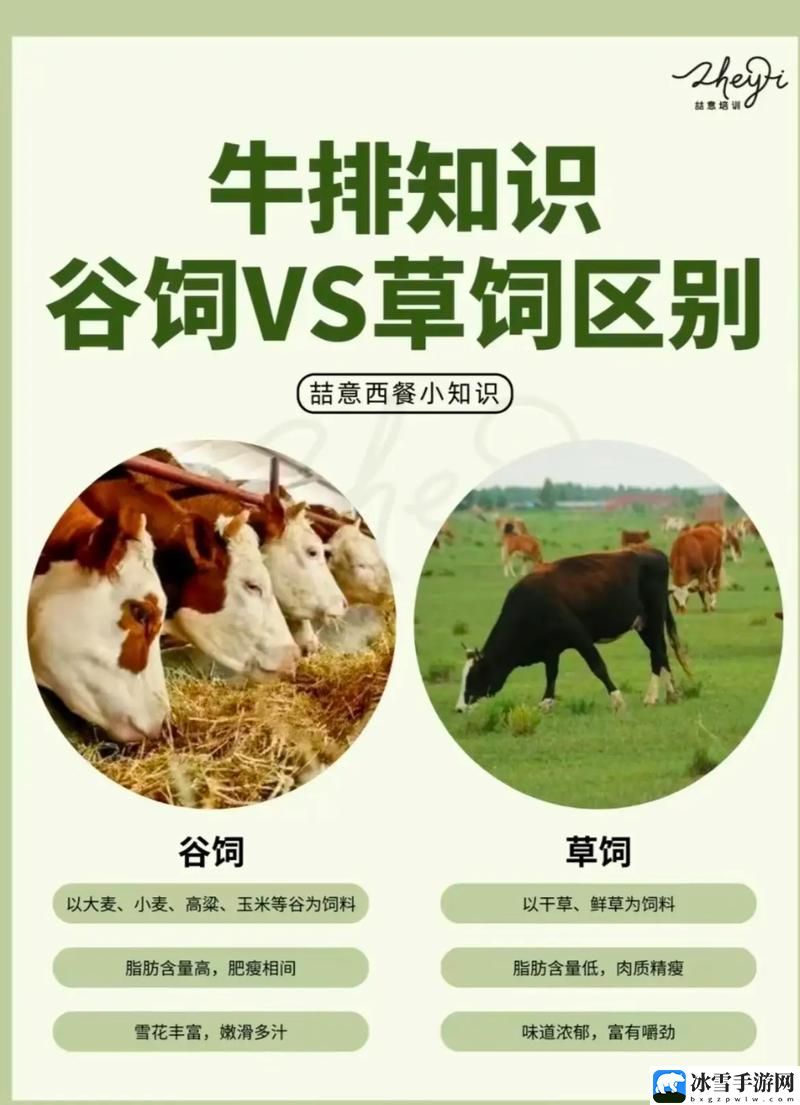 老牛嫩草一区二区三区的区别