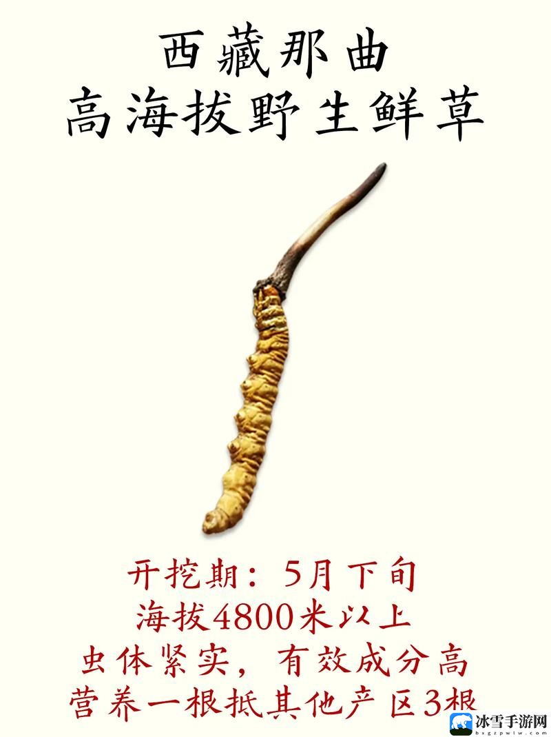 嫩草精产一二三产区