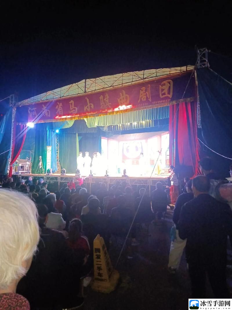 河南农村一丝不拉演唱会